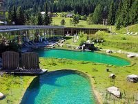 Carinzia: Hotel di lusso in mezza pensione + Terme a 180€